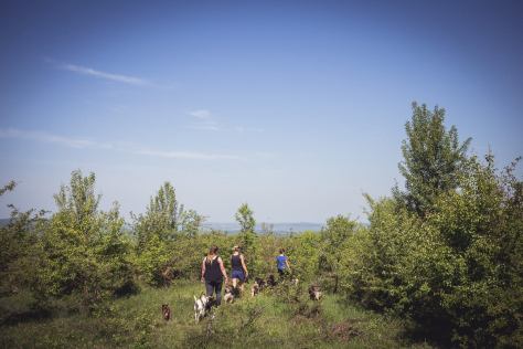 18238077_1844959655828254_2751788864445324090_o