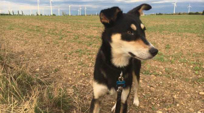 Vienna waits for you